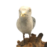 SOLD Excellent 1971 Signed Folk Art Seagull on Driftwood Base