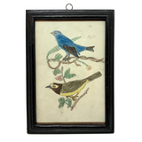 Pair of Bright (and Bright Eyed!) Birds, Ink and Colored Pencil Folk Art Drawing in Early 19th Century Frame with Very Thin Blown Glass