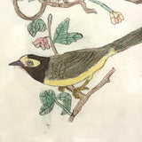Pair of Bright (and Bright Eyed!) Birds, Ink and Colored Pencil Folk Art Drawing in Early 19th Century Frame with Very Thin Blown Glass