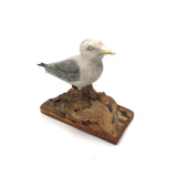 SOLD Excellent 1971 Signed Folk Art Seagull on Driftwood Base
