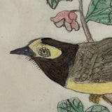 Pair of Bright (and Bright Eyed!) Birds, Ink and Colored Pencil Folk Art Drawing in Early 19th Century Frame with Very Thin Blown Glass