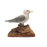 SOLD Excellent 1971 Signed Folk Art Seagull on Driftwood Base