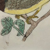 Pair of Bright (and Bright Eyed!) Birds, Ink and Colored Pencil Folk Art Drawing in Early 19th Century Frame with Very Thin Blown Glass