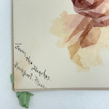 SOLD Four Panel Victorian Sea Moss Specimen Collection, Rockport, Mass.