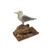 SOLD Excellent 1971 Signed Folk Art Seagull on Driftwood Base