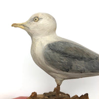 SOLD Excellent 1971 Signed Folk Art Seagull on Driftwood Base