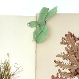 SOLD Four Panel Victorian Sea Moss Specimen Collection, Rockport, Mass.