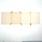 SOLD Four Panel Victorian Sea Moss Specimen Collection, Rockport, Mass.