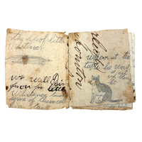 The Life of Little Witenose the Knowing Cat, Hattie's Ultra Naive 1854 Homemade Story Book