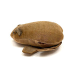 Highly Empathetic Little Antique Straw Stuffed Frog (with a few holes)