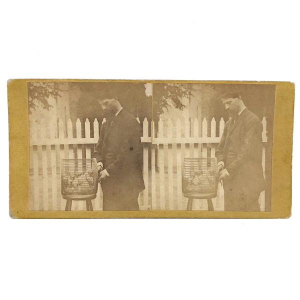 "The Squirrels" Antique Homemade Stereoview