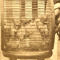 "The Squirrels" Antique Homemade Stereoview