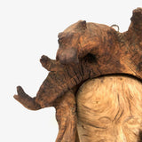 Man of the Wood, Great Old Dramatically Encircled Carved Burl Face