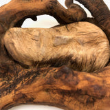Man of the Wood, Great Old Dramatically Encircled Carved Burl Face