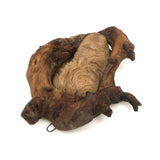 Man of the Wood, Great Old Dramatically Encircled Carved Burl Face