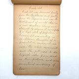 Ray Hayden's c. 1903 Pattern and Decoration Notebook with Lovely Hand-drawn Studies