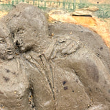 Romeo Y Julieta, Betty Heredia Snyder Rees Sculpted Clay Lovers On Cigar Box