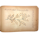 Ray Hayden's c. 1903 Pattern and Decoration Notebook with Lovely Hand-drawn Studies