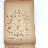 Ray Hayden's c. 1903 Pattern and Decoration Notebook with Lovely Hand-drawn Studies