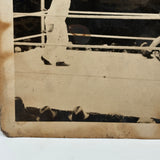Perfectly Aged, Ultra Atmospheric c. 1920s-30s Original Boxing Match Photo