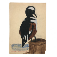 Very Very Last of the Old Birdlover's Watercolors: Hooded Merganser