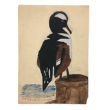 Very Very Last of the Old Birdlover's Watercolors: Hooded Merganser