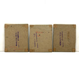 Lovely Set of Three Early 1900s Pressed and Labeled Leaves, Original Mounts, Behind Glass
