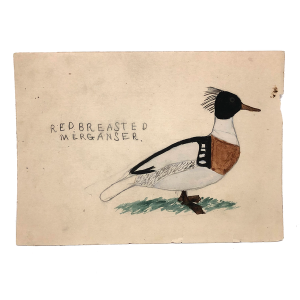 Very Last of the Old Birdlover's Watercolors: Hooded Merganser