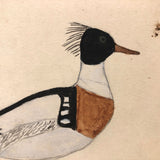 Very Last of the Old Birdlover's Watercolors: Hooded Merganser