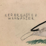 Very Last of the Old Birdlover's Watercolors: Hooded Merganser