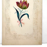 Fancy Tulip on Paper Lace, Lovely Monogrammed Watercolor on Embossed Card, c. 1840s, Boston