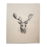 Buck with Bright Eyes and Soaring Antlers, Beautifully Rendered 19th Century Graphite Drawing