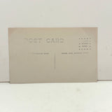 Birds in Nest with Beaks Up, Lovely Old Real Photo Postcard