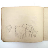 Belle York, Age 10-11, 1885-86 Sketchbook with Far-ranging Graphite Drawings, Elmira, NY