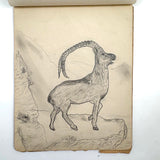 Belle York, Age 10-11, 1885-86 Sketchbook with Far-ranging Graphite Drawings, Elmira, NY