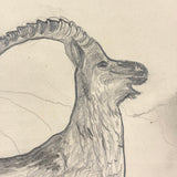 Belle York, Age 10-11, 1885-86 Sketchbook with Far-ranging Graphite Drawings, Elmira, NY