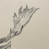 Buck with Bright Eyes and Soaring Antlers, Beautifully Rendered 19th Century Graphite Drawing