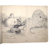 Belle York, Age 10-11, 1885-86 Sketchbook with Far-ranging Graphite Drawings, Elmira, NY