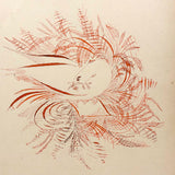 Spencerian Bird in Red Ink with Branch in Beak, 1896 Red Ink Drawing