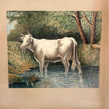 White Cow Wading, Lovely Antique Watercolor Signed Ward in Hand-carved, Presumed Original, Folk Art Frame