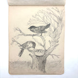 Belle York, Age 10-11, 1885-86 Sketchbook with Far-ranging Graphite Drawings, Elmira, NY