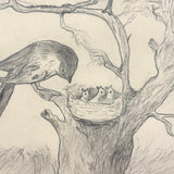 Belle York, Age 10-11, 1885-86 Sketchbook with Far-ranging Graphite Drawings, Elmira, NY