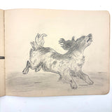 Belle York, Age 10-11, 1885-86 Sketchbook with Far-ranging Graphite Drawings, Elmira, NY