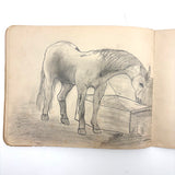 Belle York, Age 10-11, 1885-86 Sketchbook with Far-ranging Graphite Drawings, Elmira, NY