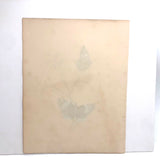 Red Admirals, 19th Century Ink and Watercolor Butterflies