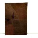 Young Man with (Iver Johnson?) Bike and Painted Trees, Antique Tintype