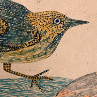 Pair of Birds, Antique Naive Colored Ink / Gouache Drawing