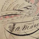 Truly Your Friend, Bird and Tiny Bug, Spencerian Red and Black Ink Calligraphy Autograph Album Page, 1884