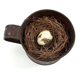 19th Century Tin Cup with Bird's Nest and Spotted Quail Egg, As Found in Maine