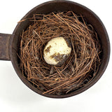19th Century Tin Cup with Bird's Nest and Spotted Quail Egg, As Found in Maine